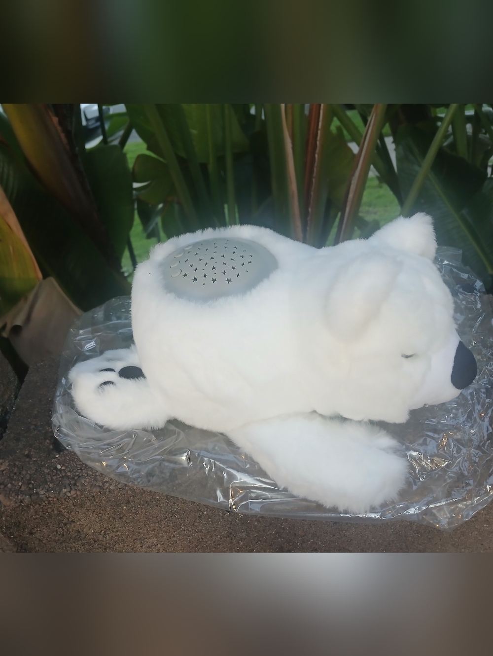 Purebaby Sound Sleepers&star Projector New In Box